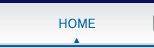 SHINWA SEIKO Co.,Ltd. | HOME