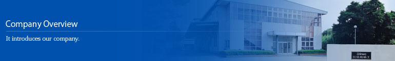Company Overview